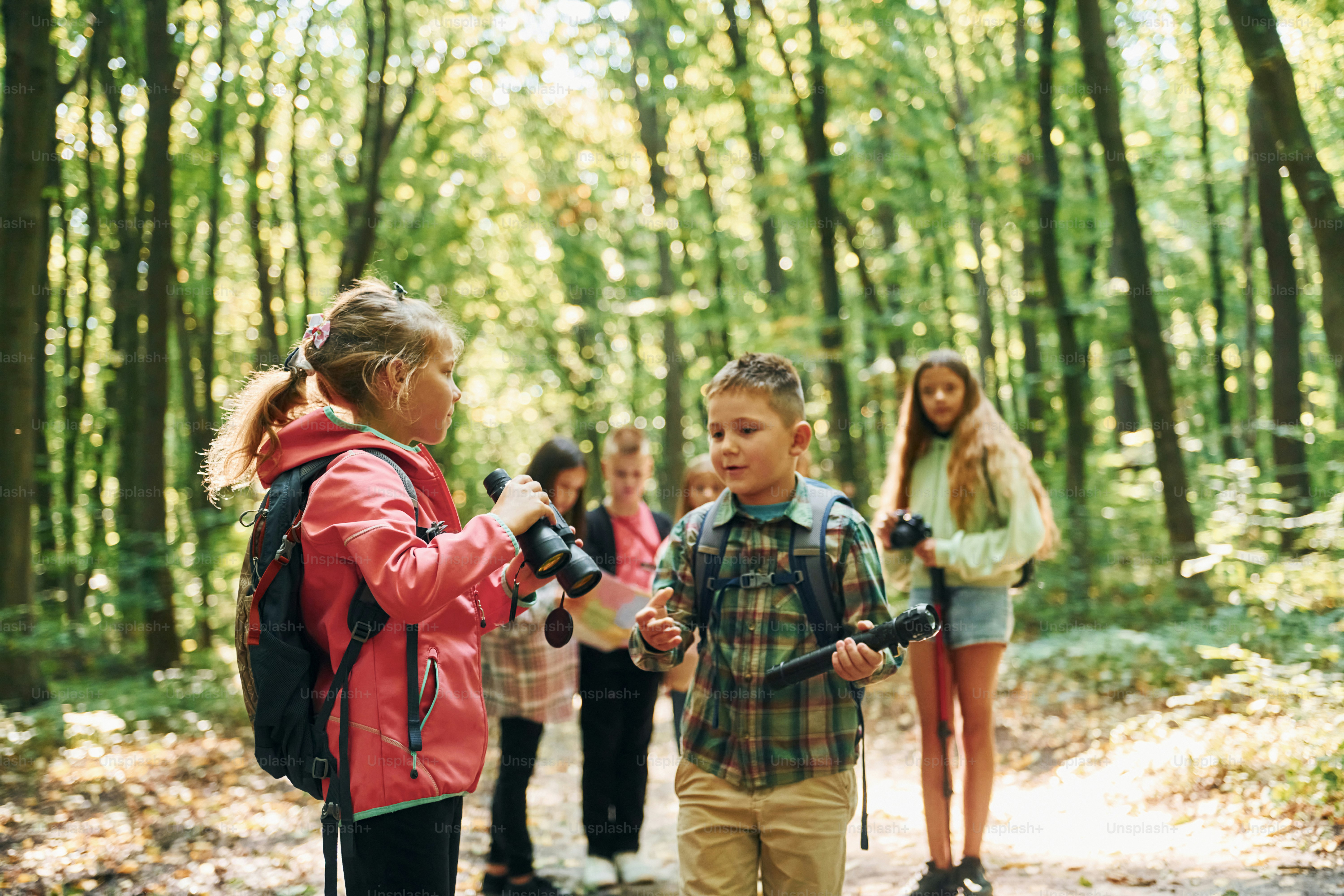 New places. Kids in green forest at summer daytime together.