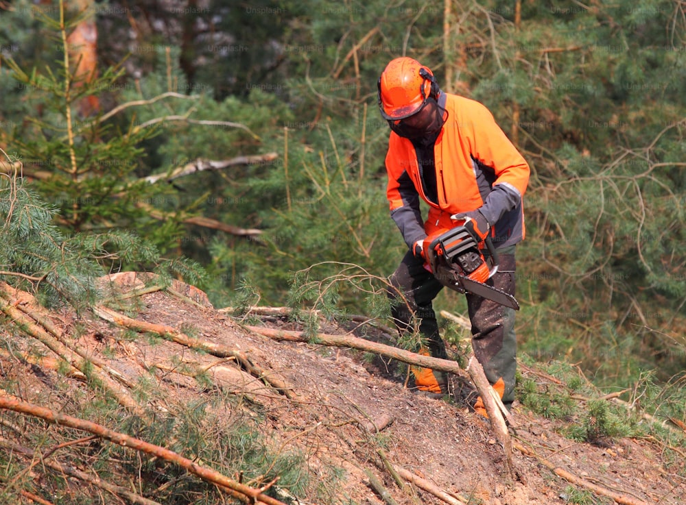 Der Holzfäller bei der Arbeit in einem Wald. Holzernte. Brennholz als erneuerbare Energiequelle. Thema der Holzindustrie. Menschen bei der Arbeit.