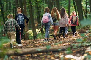 Kids in green forest at summer daytime together.