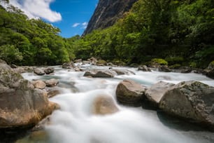 山を背景に熱帯雨林の岩だらけの川の風景。ニュージーランド南島、フィオーランド国立公園のミルフォード・サウンド近くのトゥトコ川で撮影。