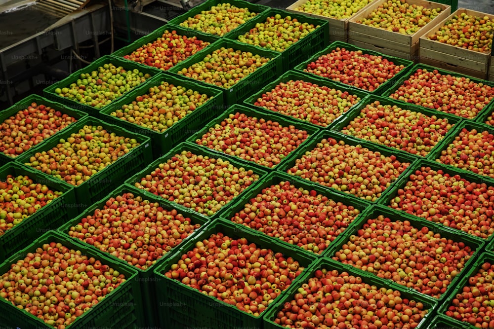 Pommes vertes délicieuses sur la ligne d’emballage à l’entrepôt de fruits. Industrie alimentaire.