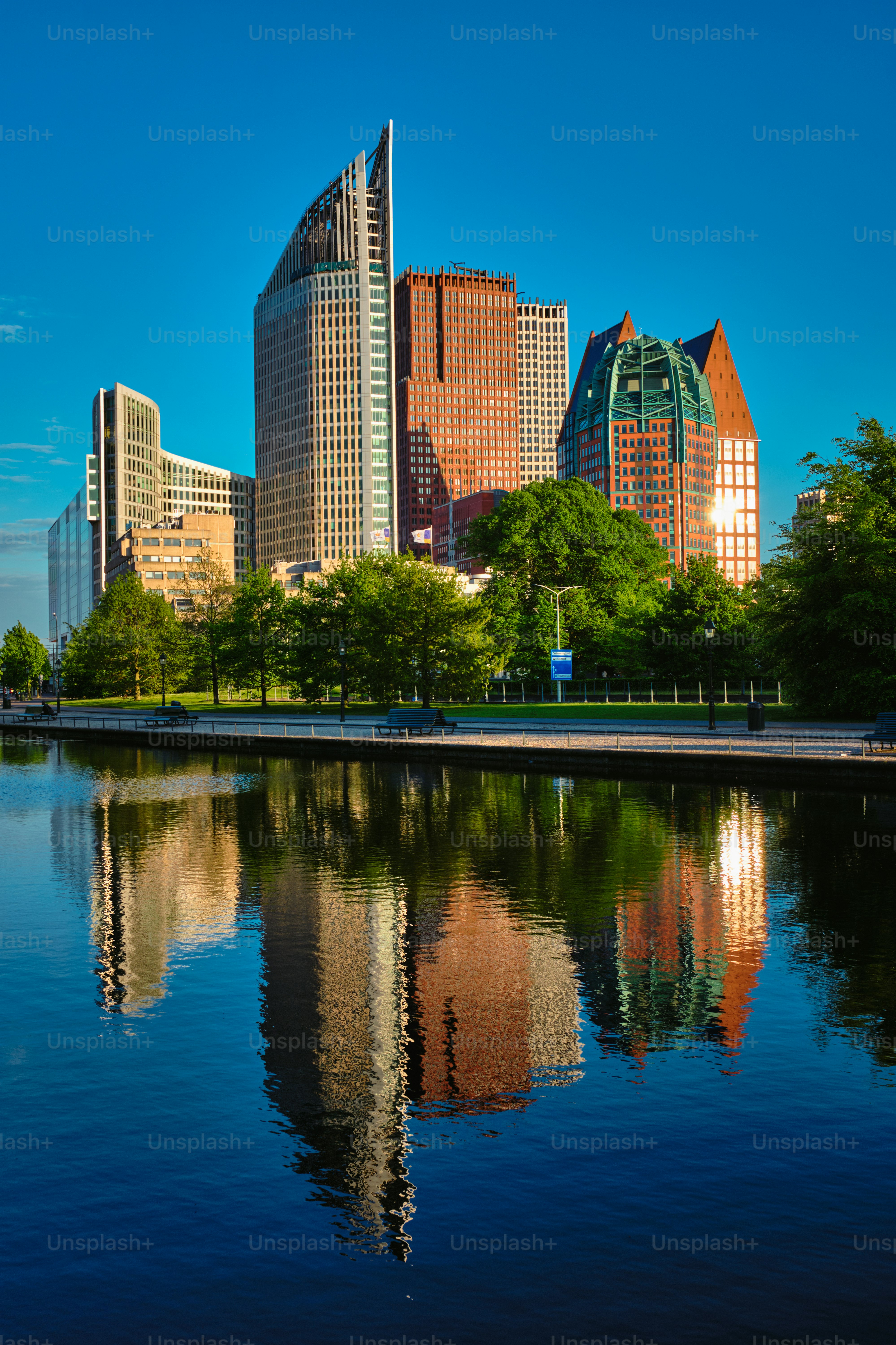 HotelSchool The Hague 
