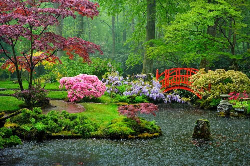 Kleine Brücke im japanischen Garten im Regen, Park Clingendael, Den Haag, Niederlande