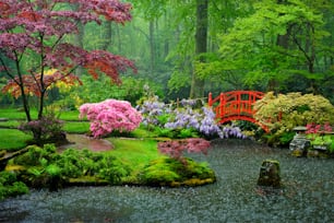 Kleine Brücke im japanischen Garten im Regen, Park Clingendael, Den Haag, Niederlande