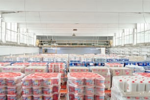 Interno di un grande magazzino contemporaneo di un ipermercato di roba da costruzione moderna con molte pile di secchi e scatole di plastica
