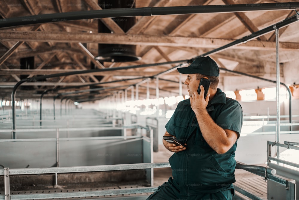 Agricoltore degno occupato in abiti da lavoro che utilizza lo smartphone e chiama il distributore di animali. Non ci sono animali in un fienile.