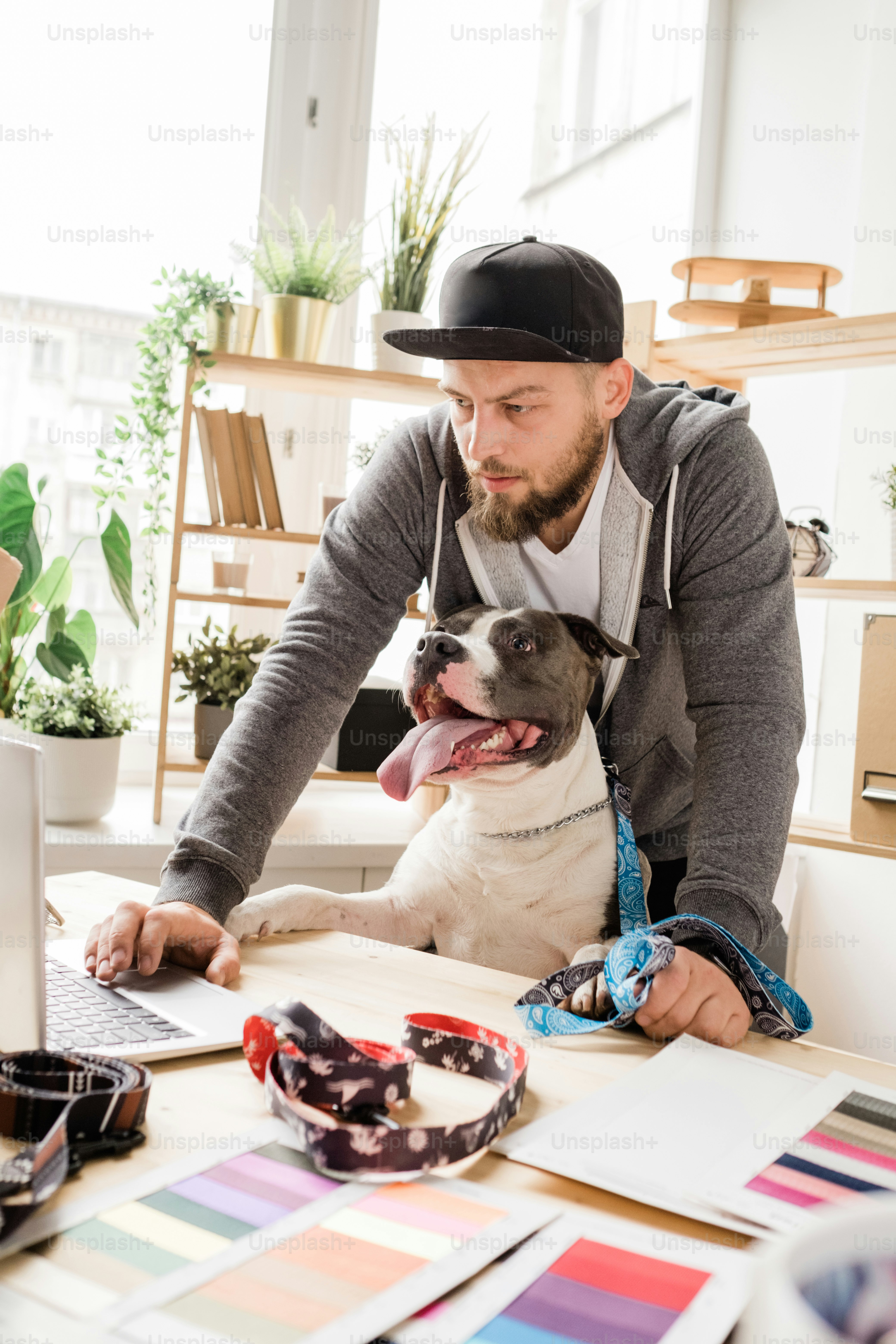 Owner organizing international pet transport documents before overseas pet moving process