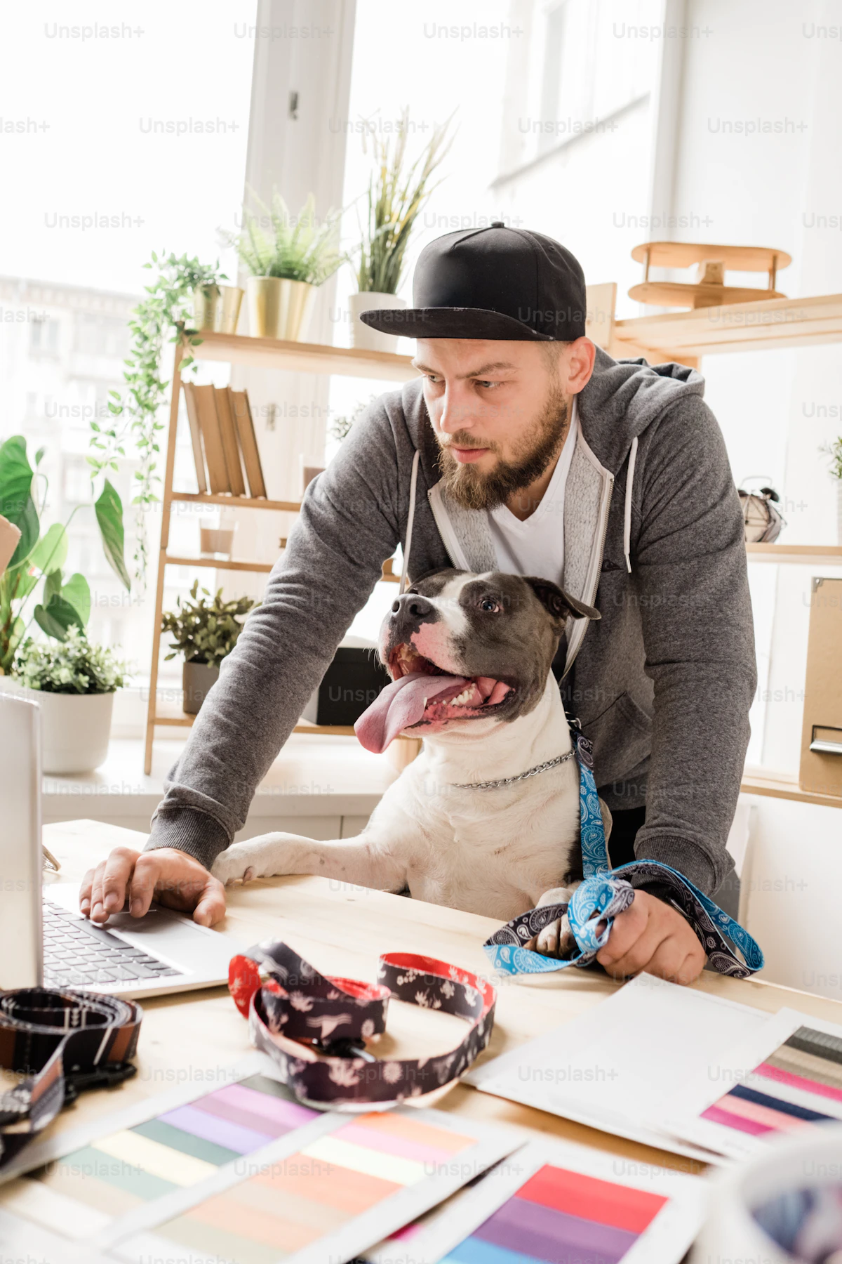Organized pet business tools and planner