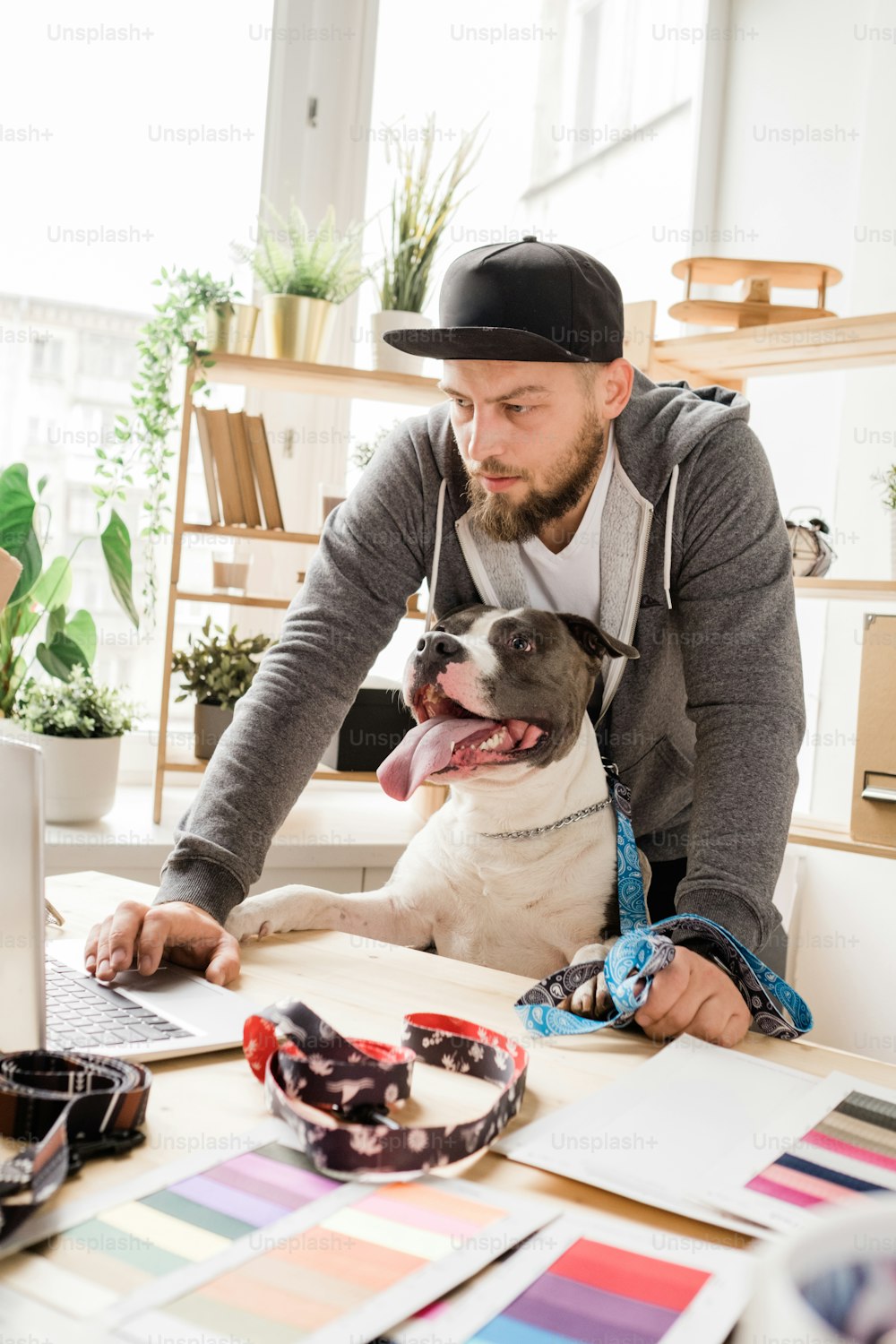 Young creative male designer and his pet working by table in front of laptop in studio or home office