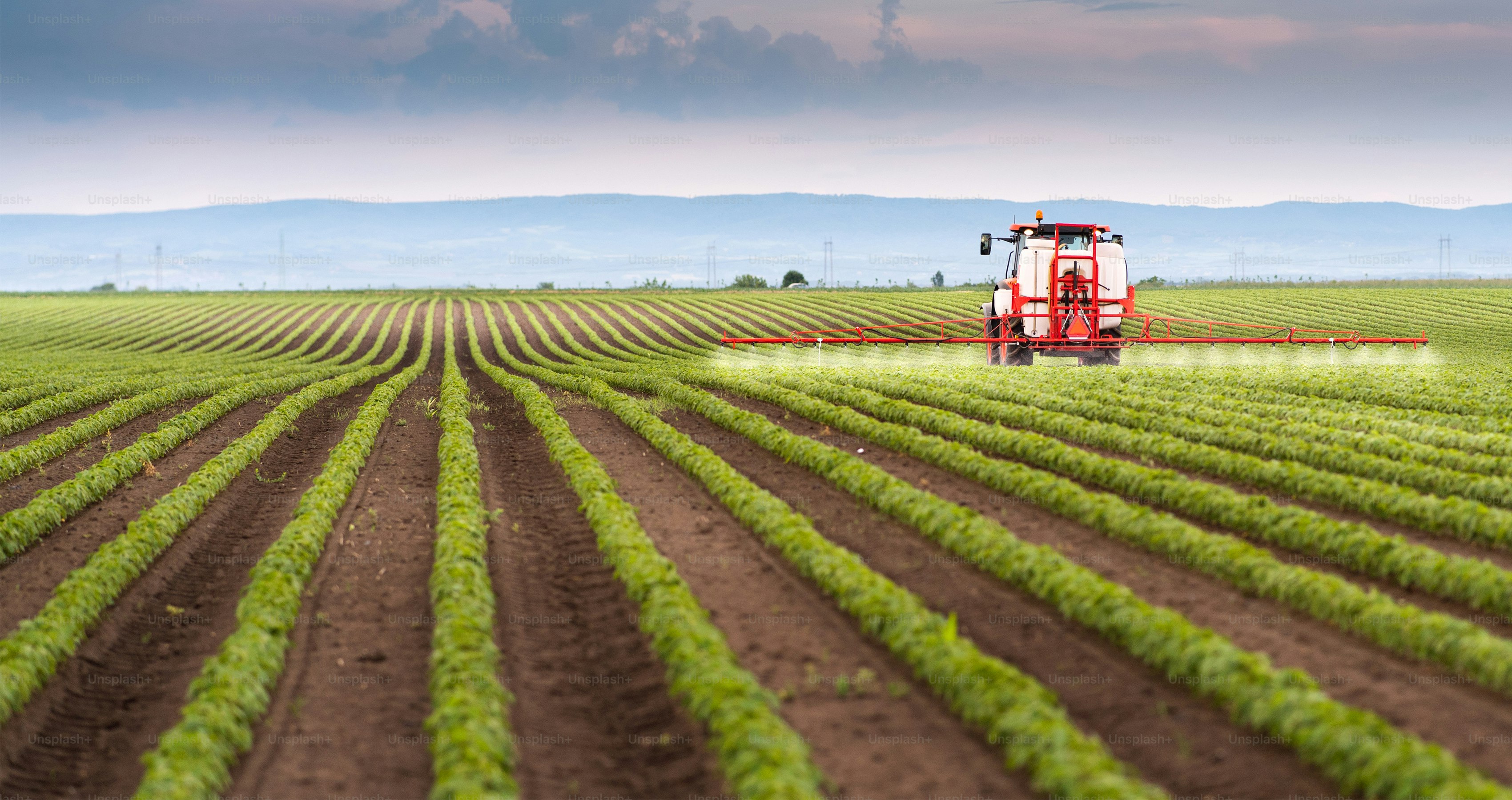 premium_photo-1661958389836-e0a882134fec?ixid=M3wxMjA3fDB8MXxzZWFyY2h8OXx8YWdyaWN1bHR1cmFsJTIwZXhwb3J0JTIwc29sdXRpb25zfGVufDB8fHx8MTc3MDI1NDE5NHww\u0026ixlib=rb-4.1.0