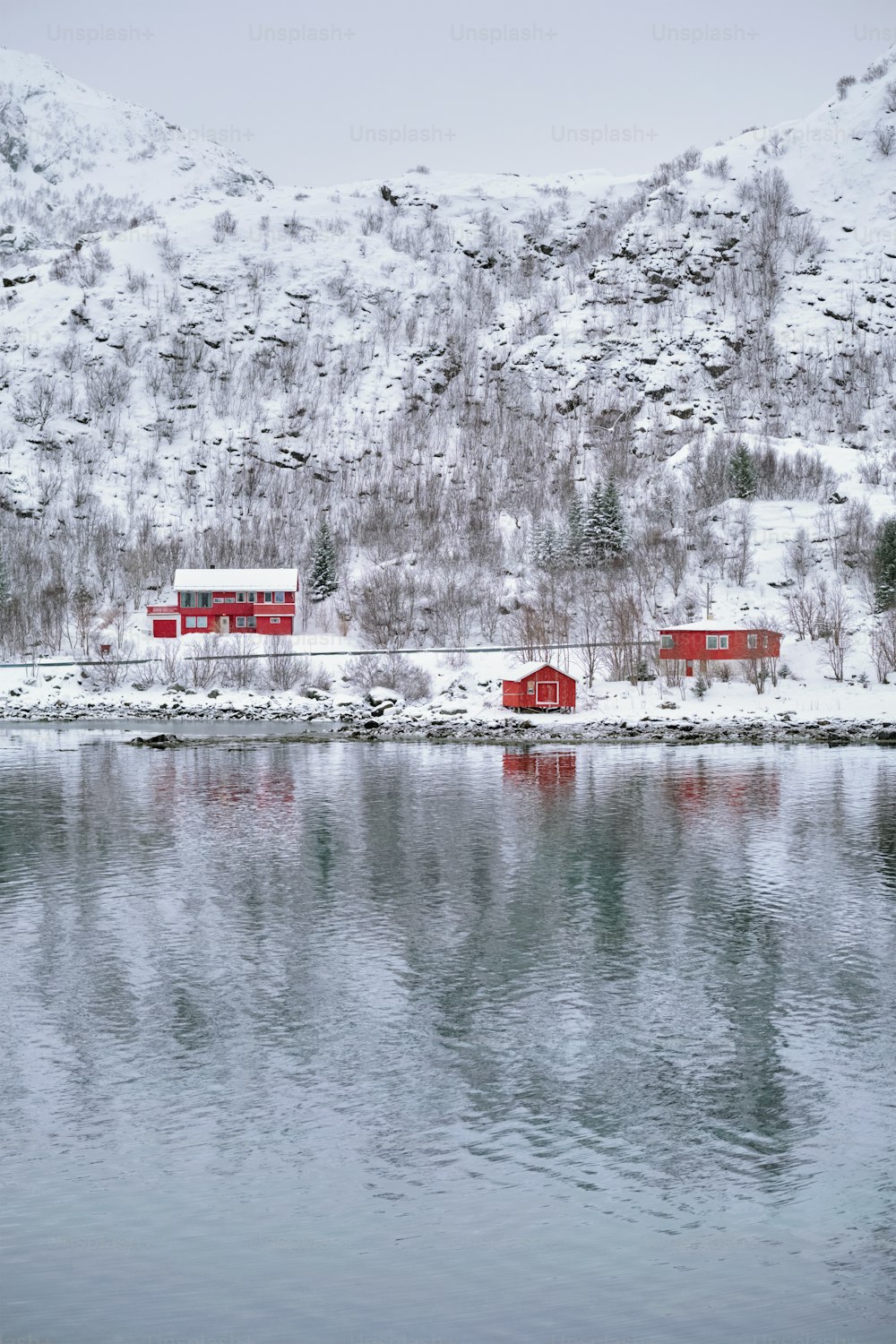 Traditional red rorbu houses on fjord shore in snow in winter. Lofoten islands, Norway