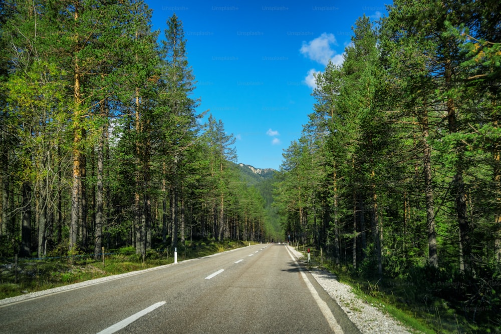 배경에 나무, 숲, 산이 있는 아름다운 산길. 이탈리아 돌로미티 산의 주 고속도로 도로에서 촬영.
