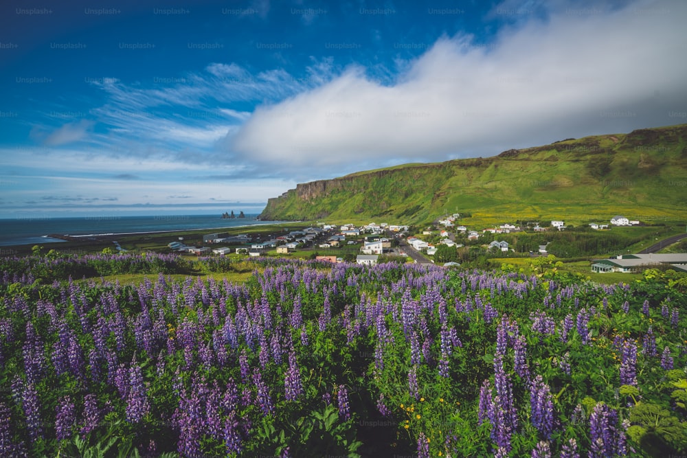여름에 아이슬란드의 아름다운 마을 비크 이 미르달. 비크 마을은 레이캬비크에서 남동쪽으로 약 180km 떨어진 순환 도로에 있는 아이슬란드 최남단 마을입니다.