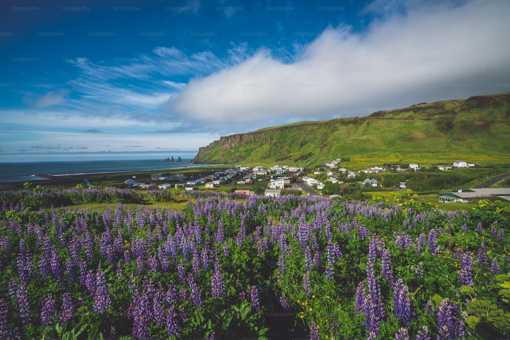 Bellissima città di Vik i Myrdal in Islanda in estate. Il villaggio di Vik è il villaggio più meridionale dell'Islanda sulla circonvallazione a circa 180 km a sud-est di Reykjavík.