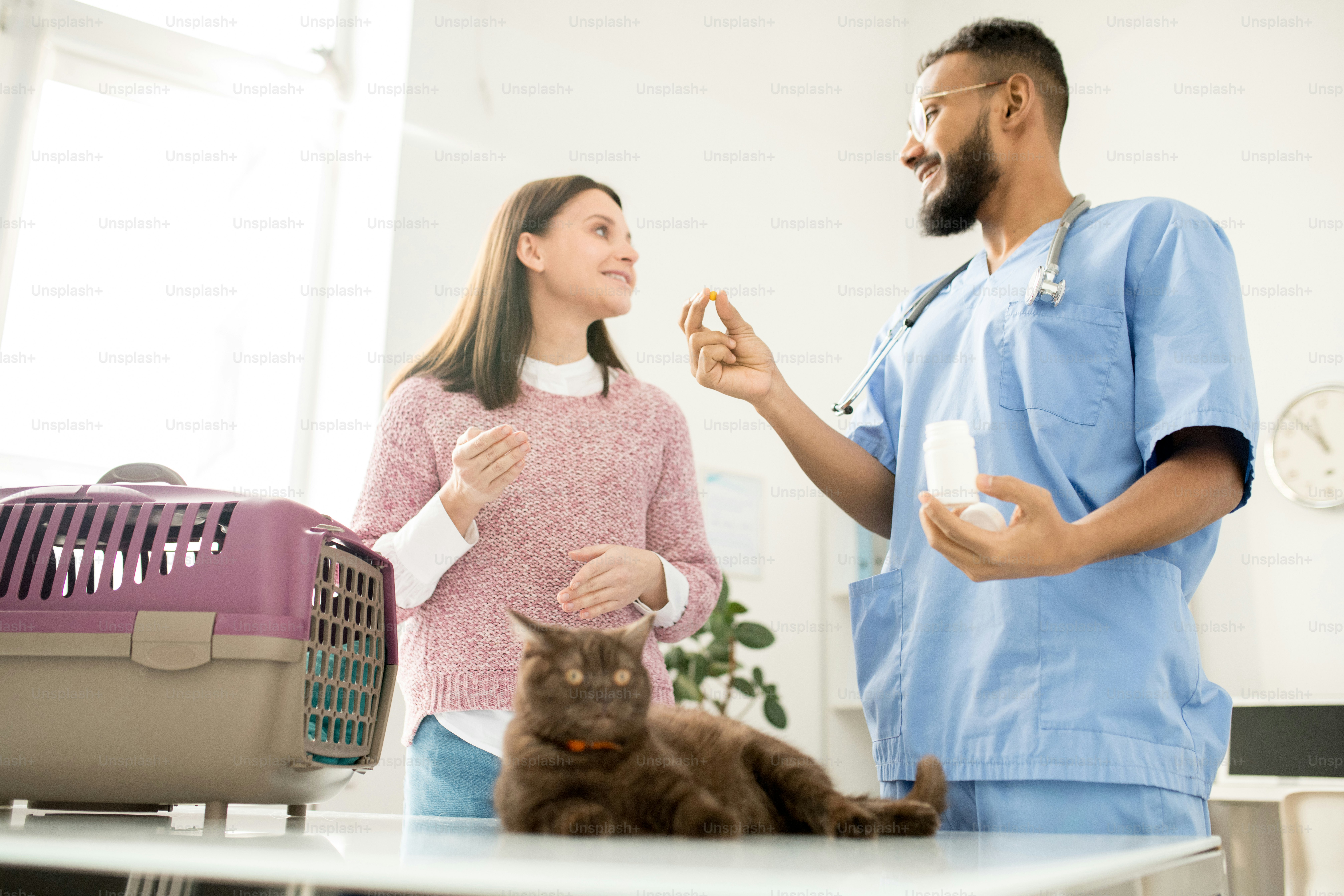 What Emergency Supplies Should Every Sugar Glider Owner Keep at Home?