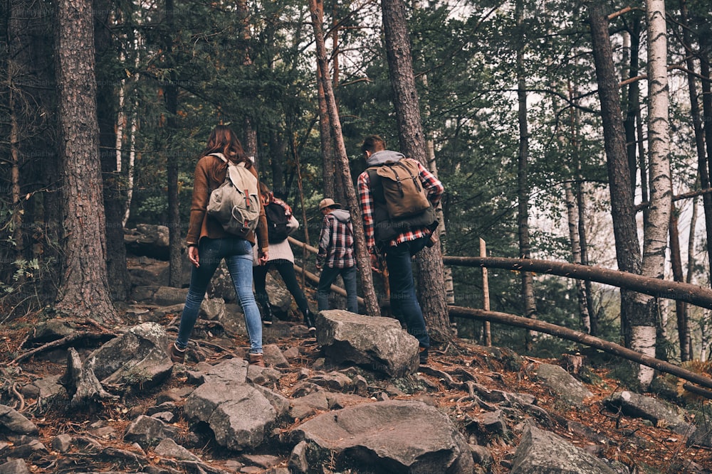 Full length rear view of young people in warm clothing moving up while hiking together in the woods