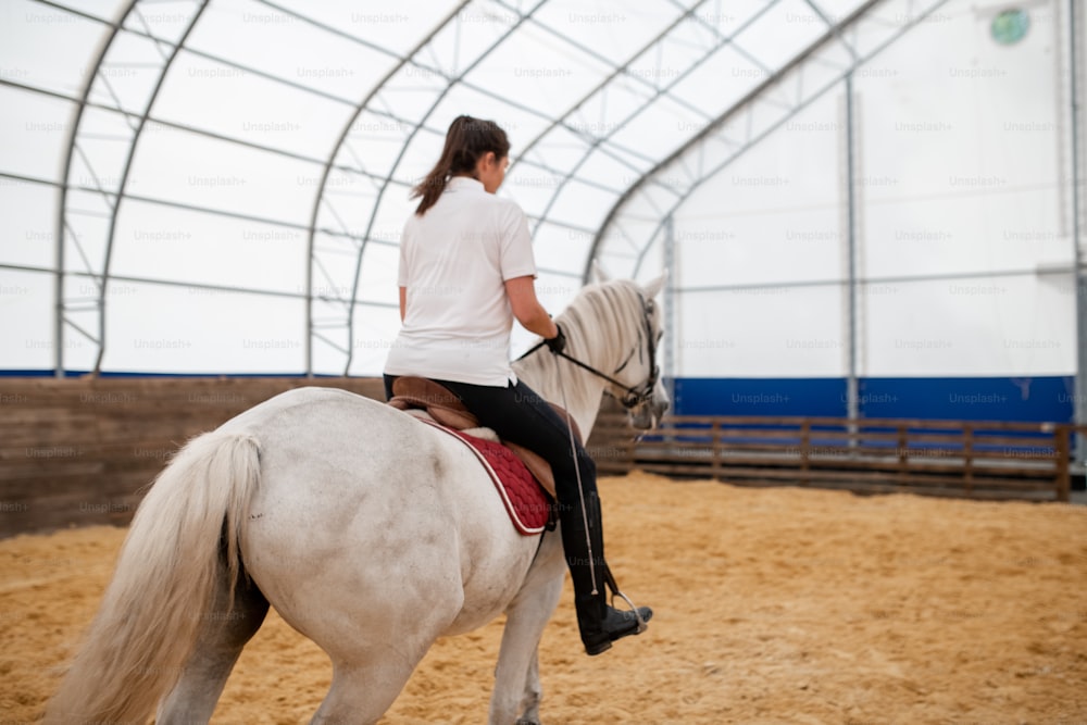 Vista traseira do cavalo de corrida branco com a jovem mulher ativa nas costas movendo-se pela arena arena enquanto treina antes da corrida