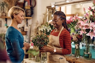Happy woman talking to African American florist while buying potted plant at flower shop.