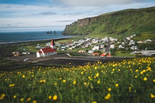 Beautiful town of Vik i Myrdal in Iceland in summer. The village of Vik  is the southernmost village in Iceland on the ring road around 180 km southeast of Reykjavík.