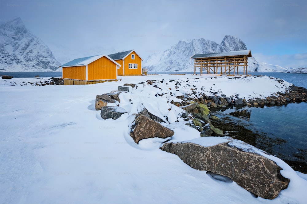 Casa tradicional de rorbu amarillo en copos de secado para bacalao seco en el fiordo noruego en invierno. Pueblo pesquero de Sakrisoy, Islas Lofoten, Noruega