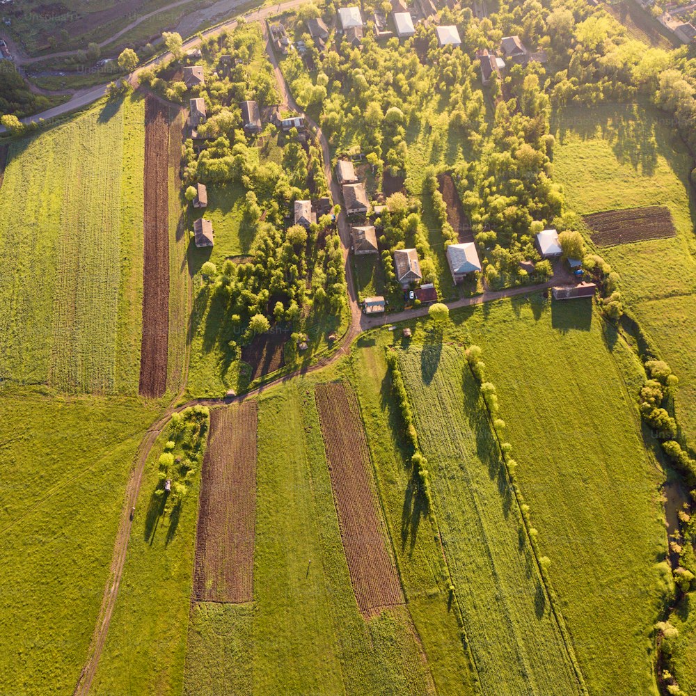 Panoramic aerial view of green and plowed agricultural fields and several village houses illuminated by the rising sun