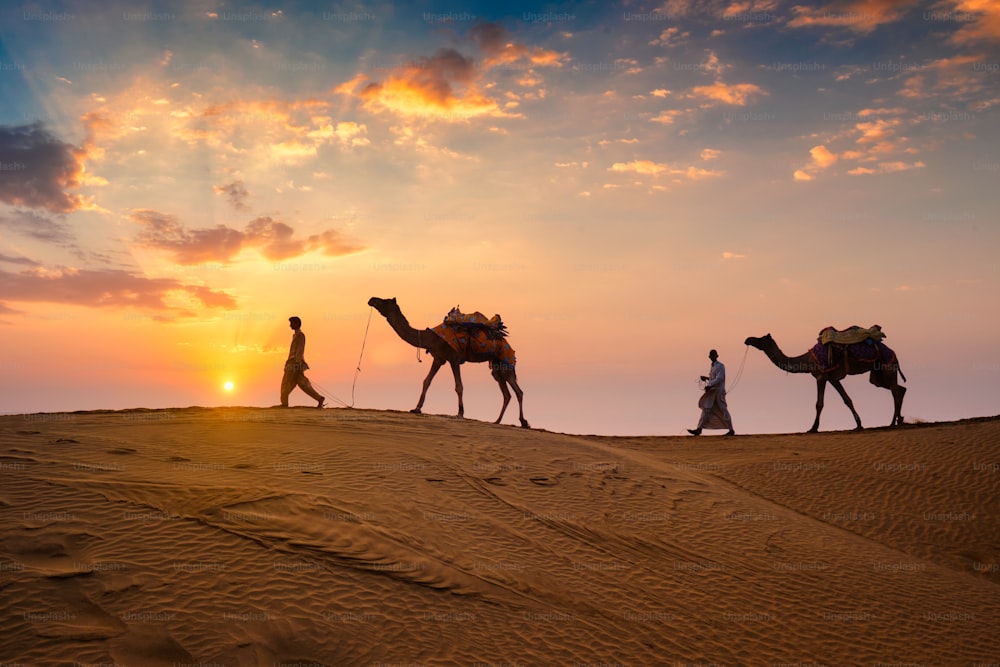 Cameleiros indianos (motorista de camelo) beduínos com silhuetas de camelo em dunas de areia do deserto de Thar ao pôr do sol. Caravana no Rajastão viagem turismo fundo aventura safári. Jaisalmer, Rajastão, Índia