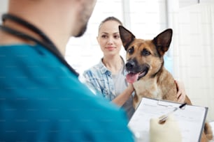 Shepherd sog y su dueño mirando al veterinario haciendo recetas y dando consejos médicos