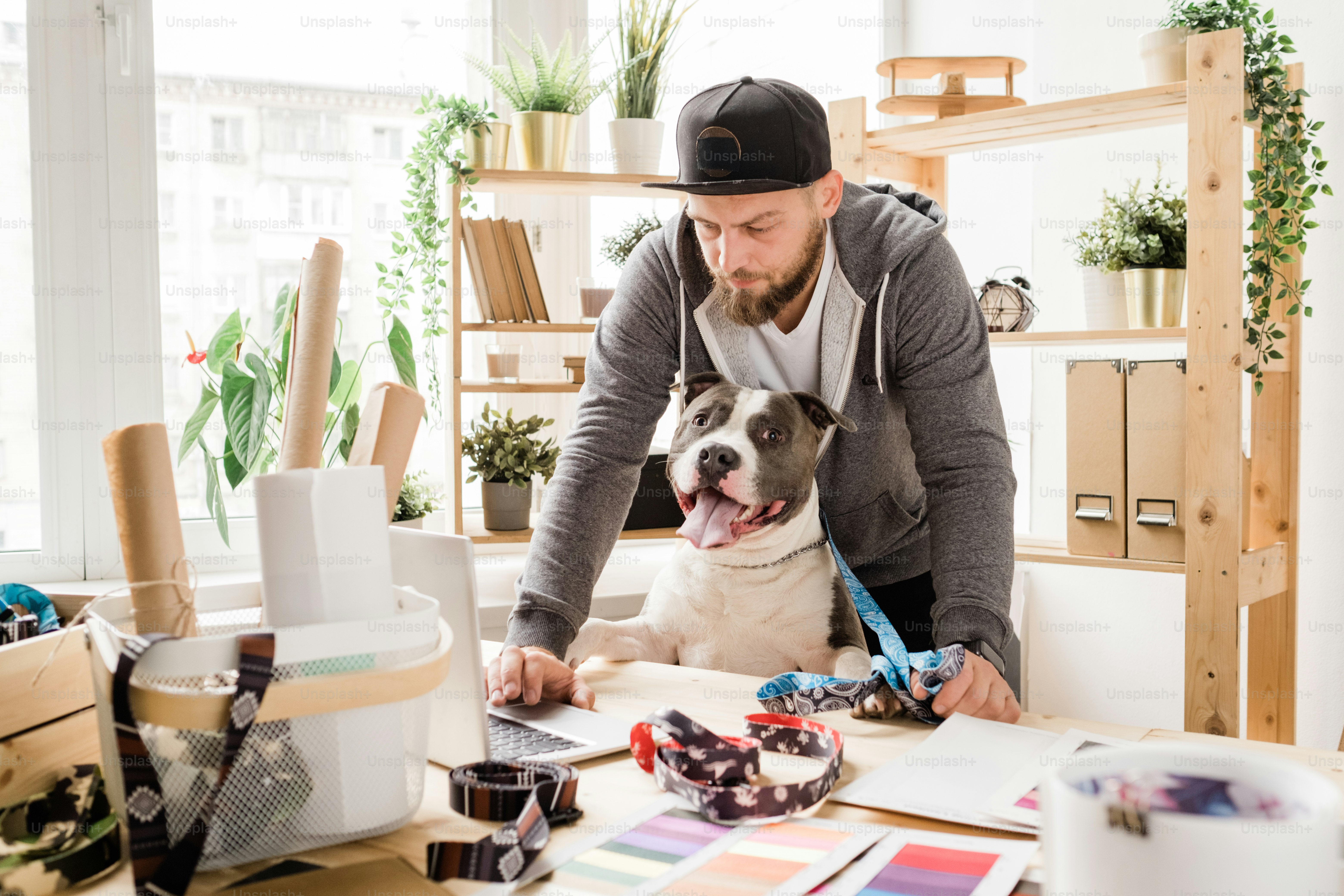 Young serious designer in casualwear bending over table in front of laptop while surfing in the net for new ideas with his pet