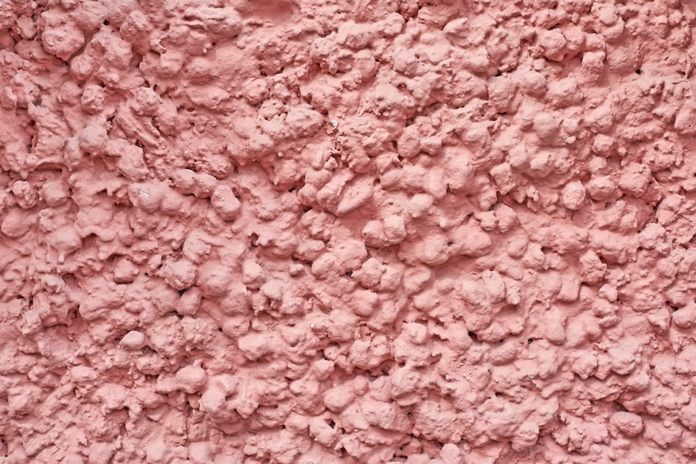 Pink abstract background. Wall with decorative plaster texture