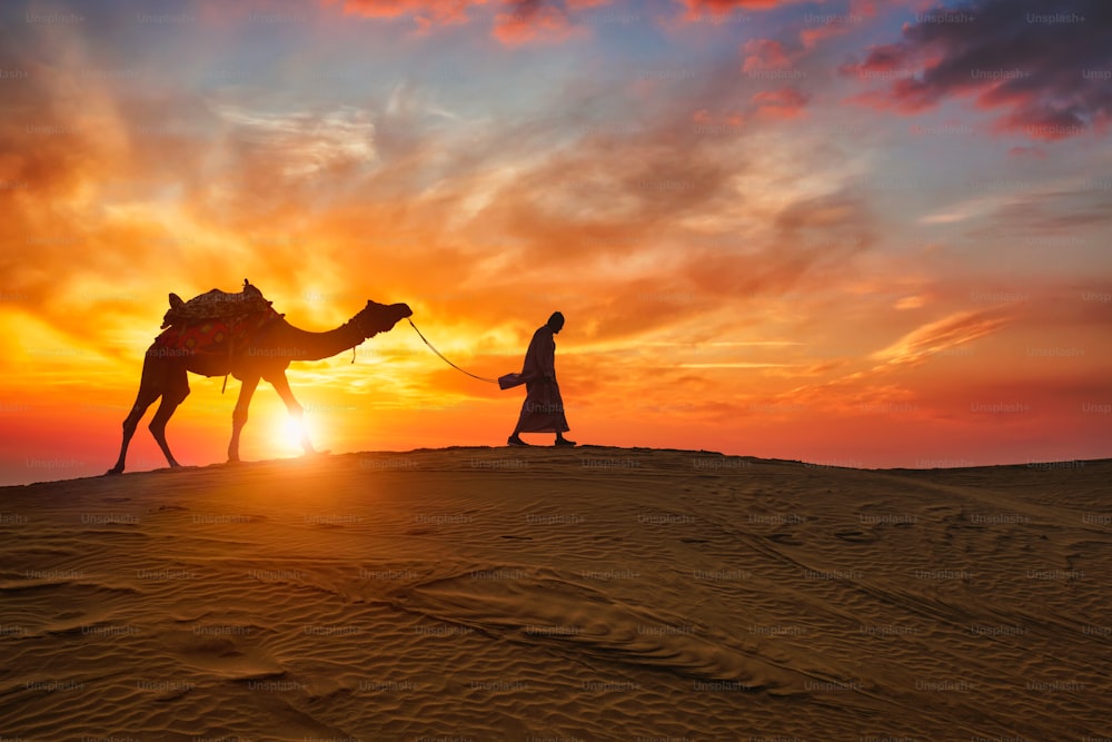 Indian cameleer (camel driver) bedouin with camel silhouettes in sand dunes of Thar desert on sunset. Caravan in Rajasthan travel tourism background safari adventure. Jaisalmer, Rajasthan, India