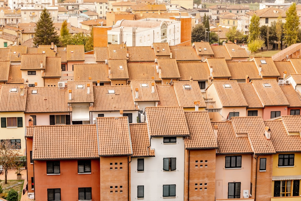 Roofs of traditional italian houses in Tuscany