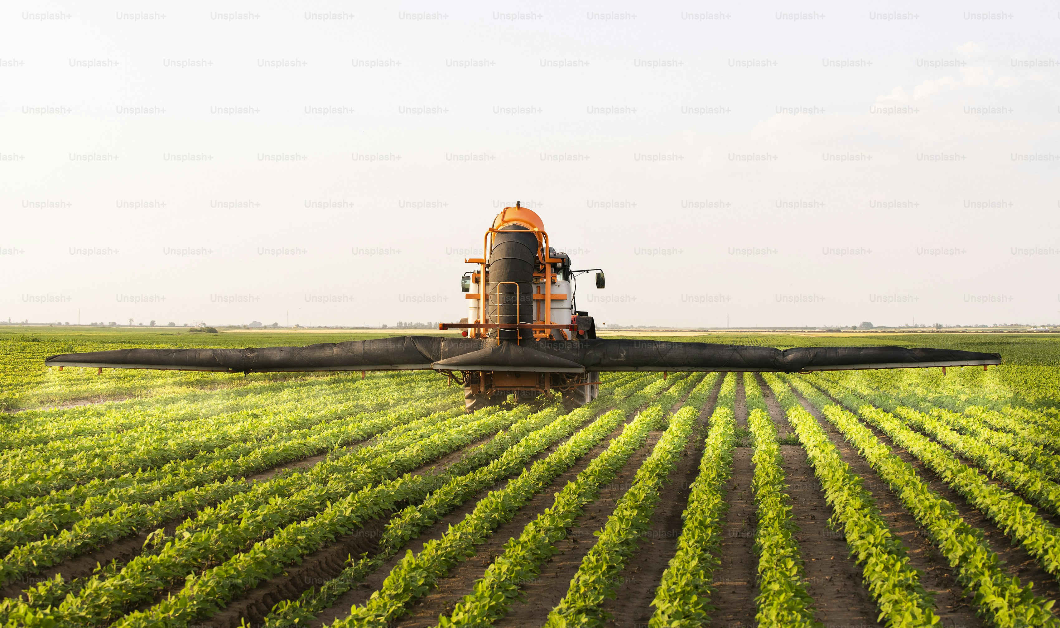 Tractor spraying pesticides on soy field with sprayer at spring