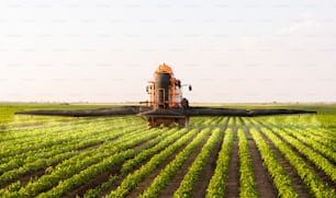 Trattore che spruzza pesticidi sul campo di soia con spruzzatore in primavera