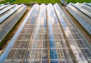 Gewächshaus für den Anbau von Blumen, Gemüse und Marihuana. Moderne Landwirtschaft von oben. Kameraflug über Garten.