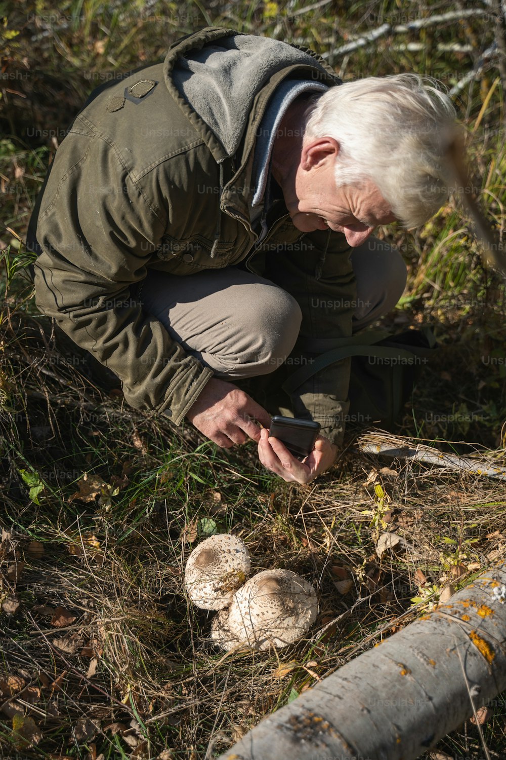 High angle view of the senior white haired male person kneeling and shooting mushrooms during the walking at the autumn forest