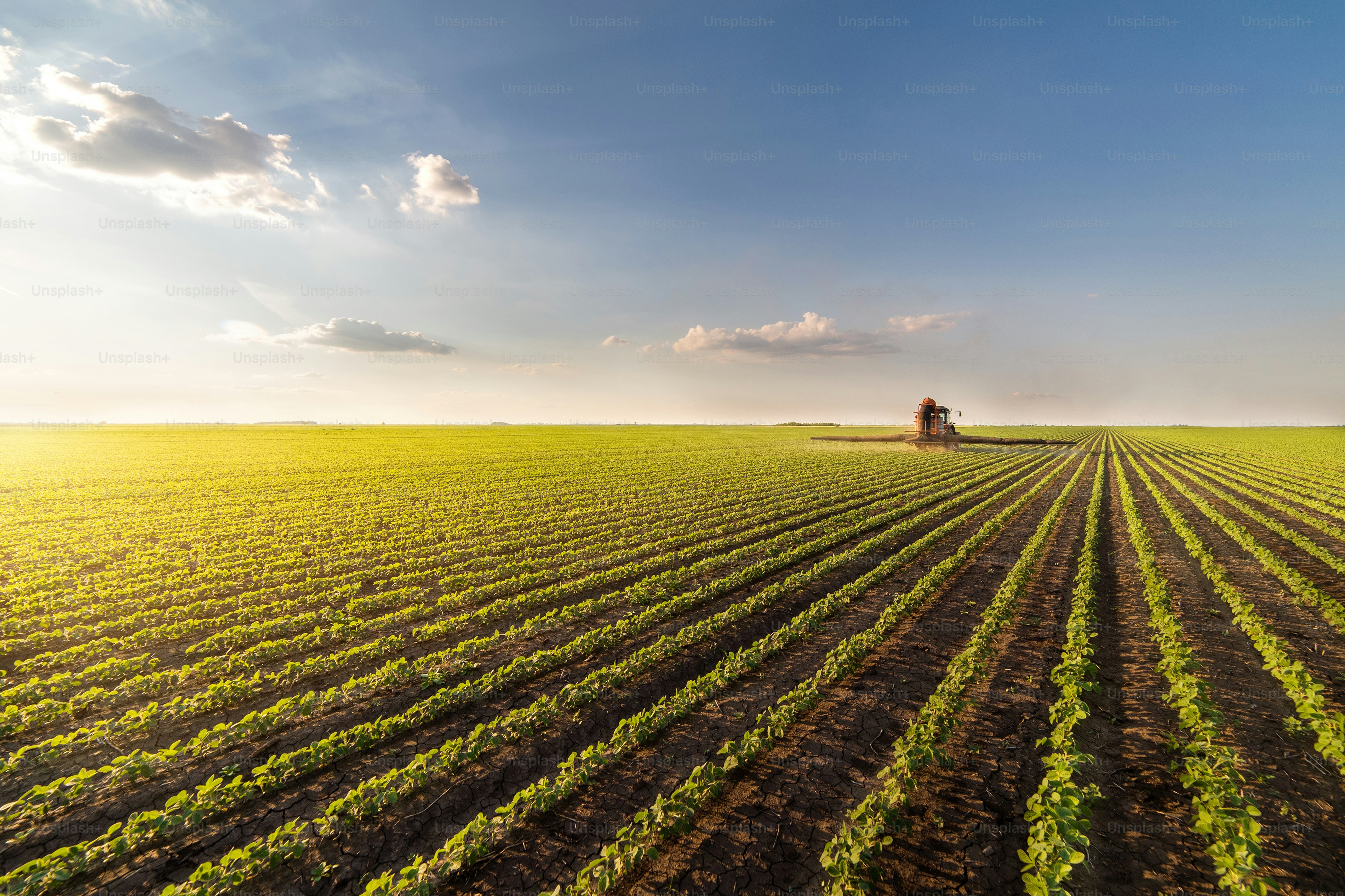 Tractor spraying pesticides on soybean field  with sprayer at spring
