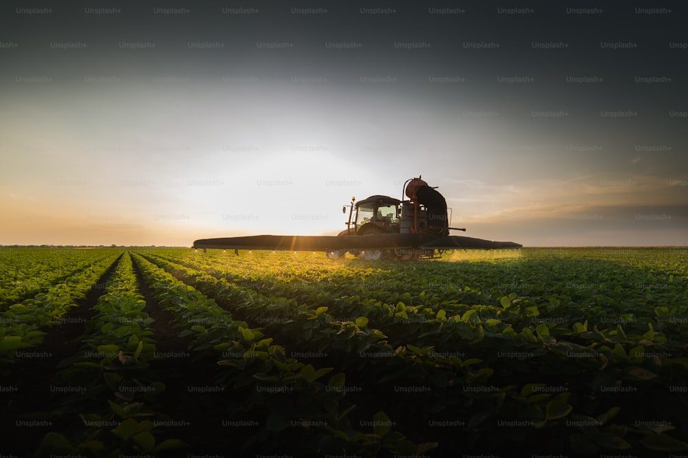 Tracteur pulvérisant des pesticides sur un champ de soja à l’aide d’un pulvérisateur au printemps