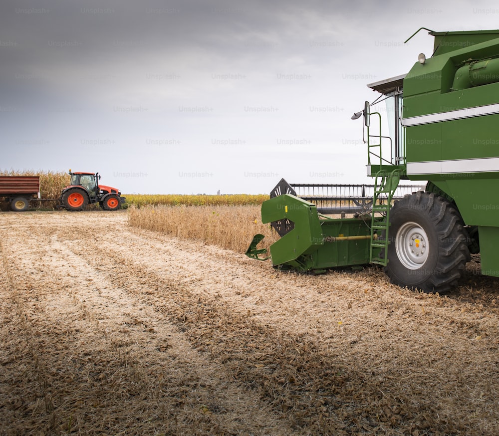 A combine harvesting soybeans at autumn