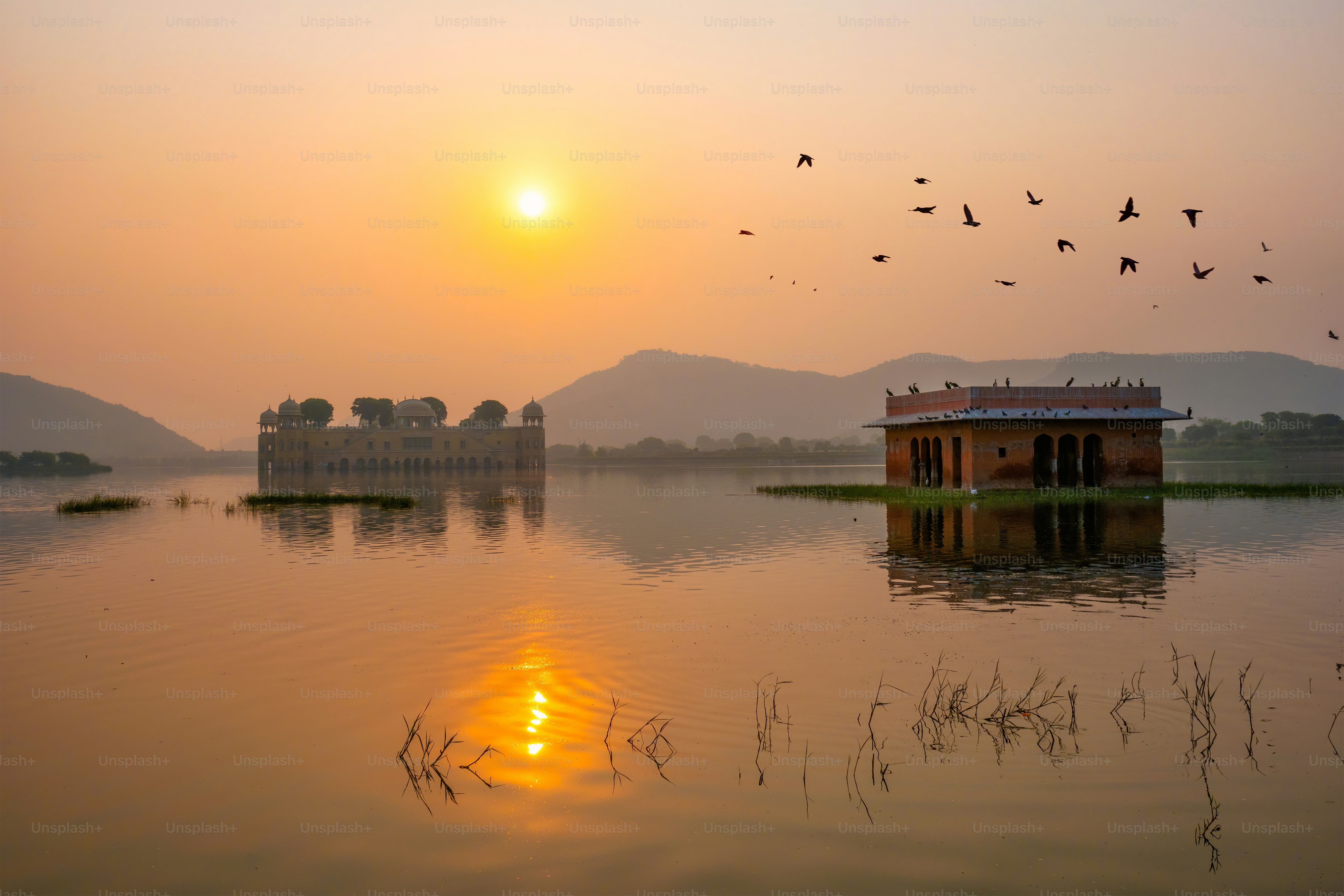 Tranquil morning at famous indian tourist landmark Jal Mahal (Water Palace) at sunrise in Jaipur. Ducks and birds around enjoy the serene morning. Jaipur, Rajasthan, India