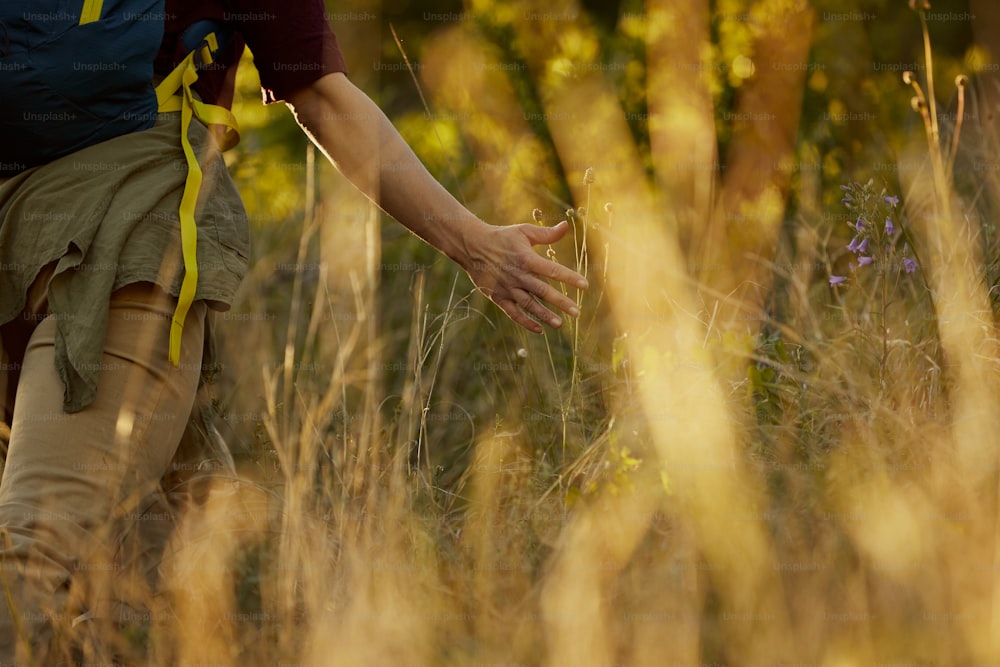 Close-up of female backpacker walking through tall grass in nature at sunset.