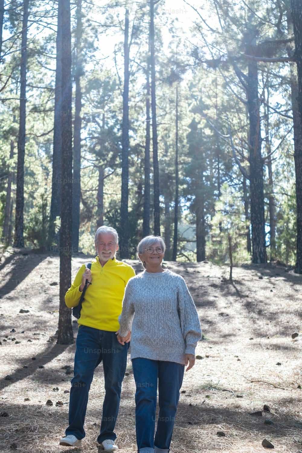 手をつないで森の中を歩く美しい幸せな老夫婦。白人の高齢の妻と夫は、森の中で晴れた日に休暇の自由と自然ハイキングを楽しんでいます