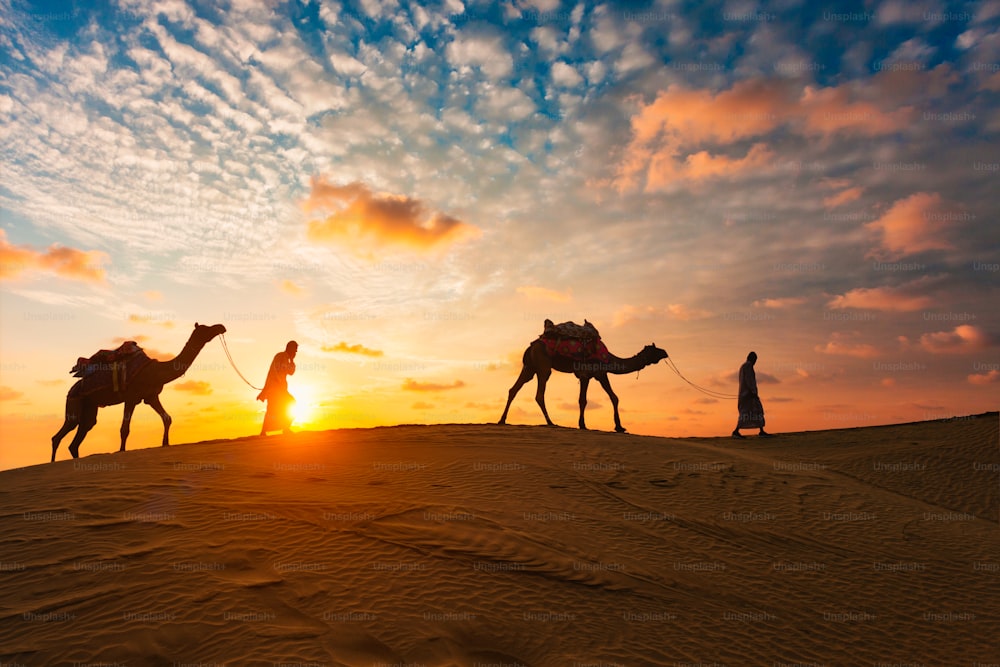 Cammellieri indiani (cammelliere) beduini con sagome di cammelli nelle dune di sabbia del deserto di Thar al tramonto. Caravan in Rajasthan viaggio turismo sfondo safari avventura. Jaisalmer, Rajasthan, India