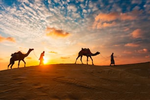 Cameleiros indianos (motorista de camelo) beduínos com silhuetas de camelo em dunas de areia do deserto de Thar ao pôr do sol. Caravana no Rajastão viagem turismo fundo aventura safári. Jaisalmer, Rajastão, Índia