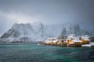 Casas de rorbu amarelo da vila de pescadores de Sakrisoy com neve no inverno. Ilhas Lofoten, Noruega