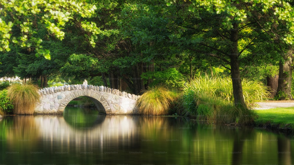 Beautiful bridge in a botanical garden under warm sunlight in summer reflecting over pond water. Shot in a garden in Queenstown, New Zealand.