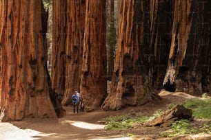 Mother with infant visit Sequoia national park in California, USA