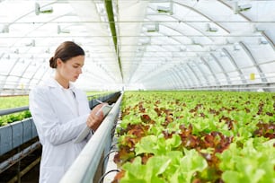 Young beautiful female agro engineer making notes in pad while standing in large industrial greenhouse with organic lettuce