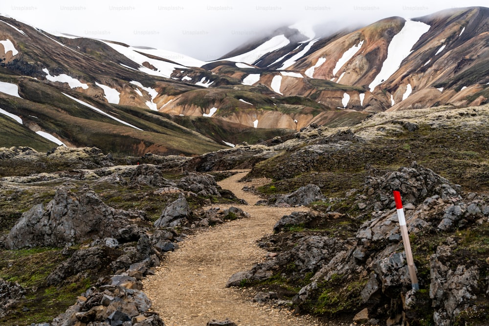 Paisaje de Landmannalaugar paisaje de naturaleza surrealista en las tierras altas de Islandia, Nórdico, Europa. Hermoso y colorido terreno montañoso nevado famoso por la aventura de trekking de verano y las caminatas al aire libre.