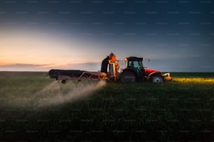 Tractor rociando pesticidas en el campo de trigo con rociador al atardecer