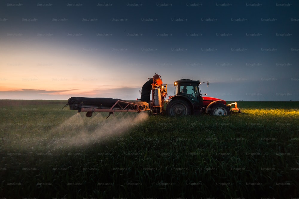 Tractor spraying pesticides on wheat field with sprayer at sunset